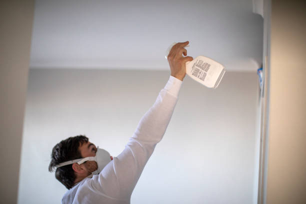 Best Mold Remediation  in Britton, SD